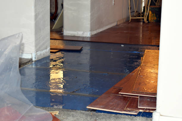 Professional Basement Flood Cleanup technician working in Porter Ranch, CA